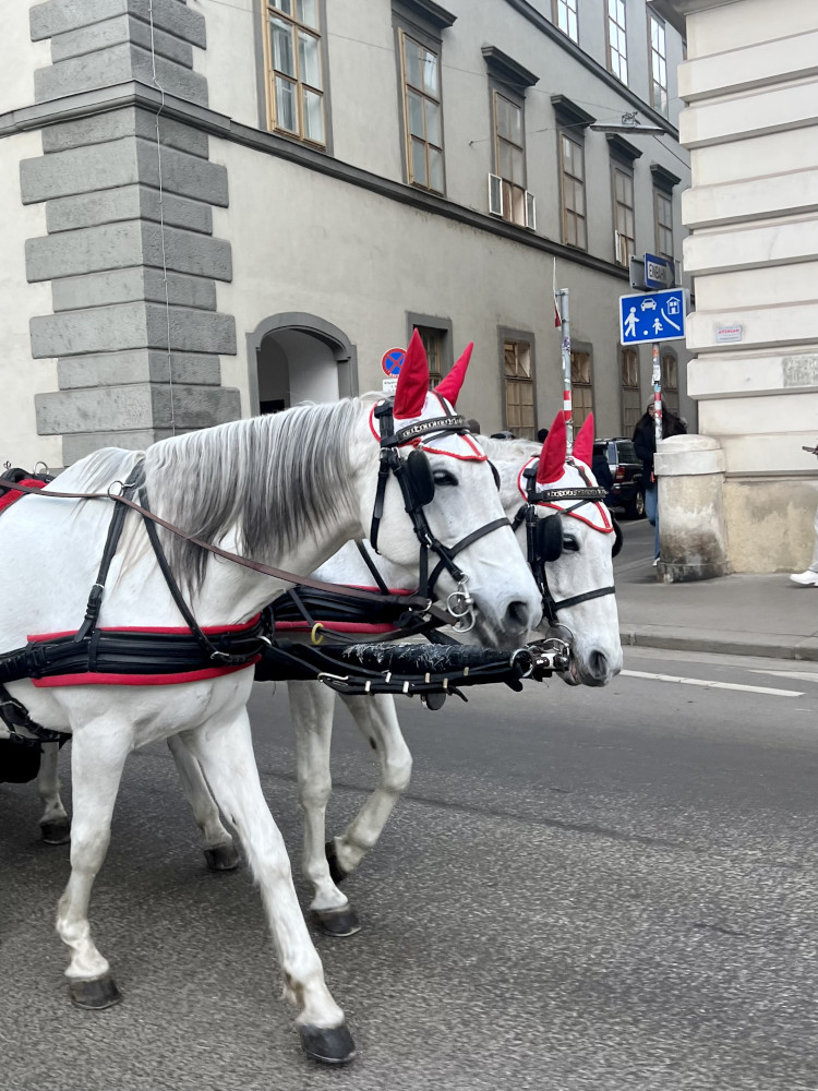 Lovaskocsi Bécs utcáin