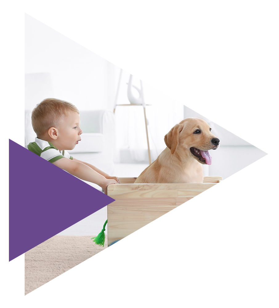 Kisállat-biztosítás Kisállat-biztosítás