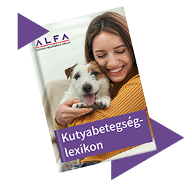 Kutyabetegség-lexikon