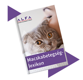 Macskabetegség-lexikon